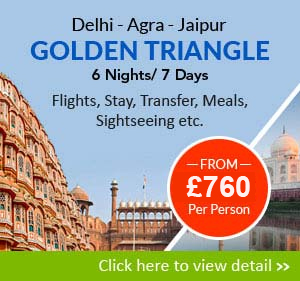 golden triangle tour 6 nights/ 7 days